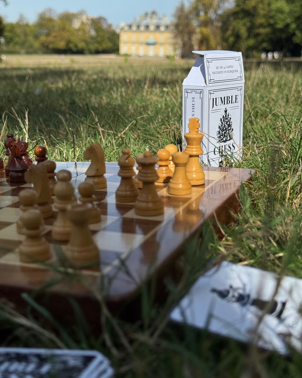 Boîte Jumble Chess debout dans l’herbe, derrière un échiquier en bois